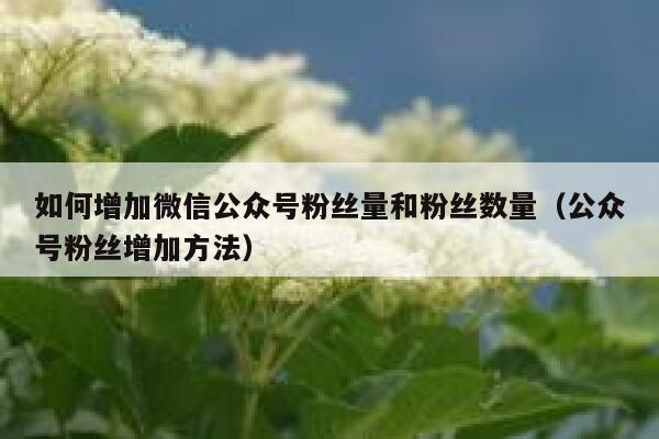 如何增加微信公众号粉丝量和粉丝数量（公众号粉丝增加方法） 第1张