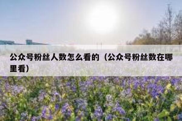 公众号粉丝人数怎么看的（公众号粉丝数在哪里看） 第1张