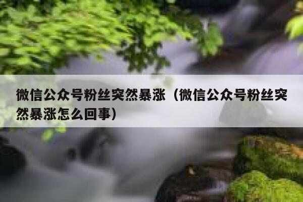 微信公众号粉丝突然暴涨（微信公众号粉丝突然暴涨怎么回事） 第1张