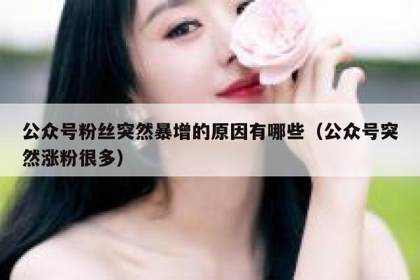 公众号粉丝突然暴增的原因有哪些(公众号突然涨粉很多) 第1张 公众号粉丝突然暴增的原因有哪些(公众号突然涨粉很多) 第1张