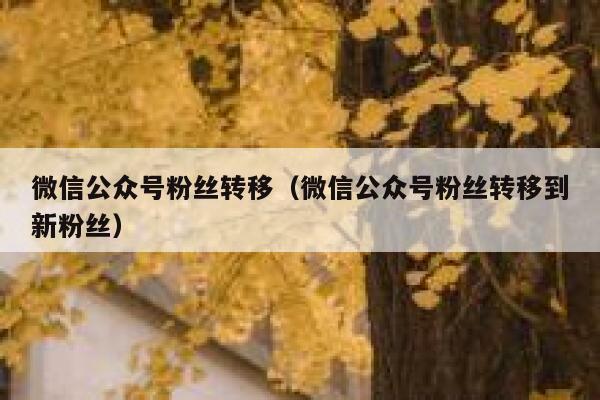 微信公众号粉丝转移（微信公众号粉丝转移到新粉丝） 第1张