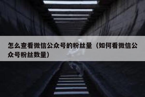 怎么查看微信公众号的粉丝量（如何看微信公众号粉丝数量） 第1张