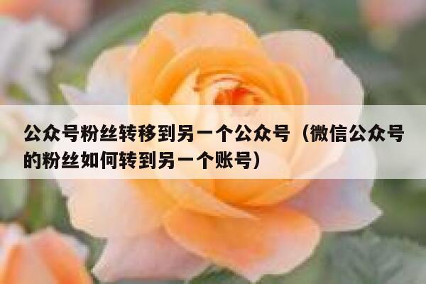 公众号粉丝转移到另一个公众号（微信公众号的粉丝如何转到另一个账号） 第1张