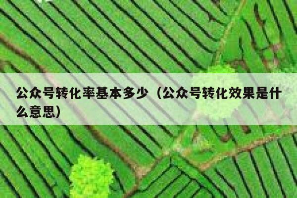 公众号转化率基本多少（公众号转化效果是什么意思） 第1张