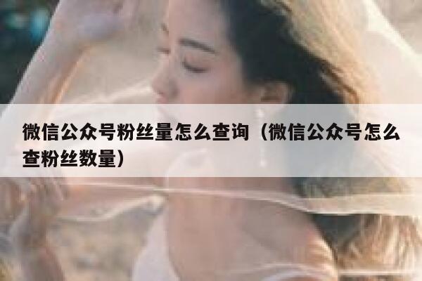 微信公众号粉丝量怎么查询（微信公众号怎么查粉丝数量） 第1张