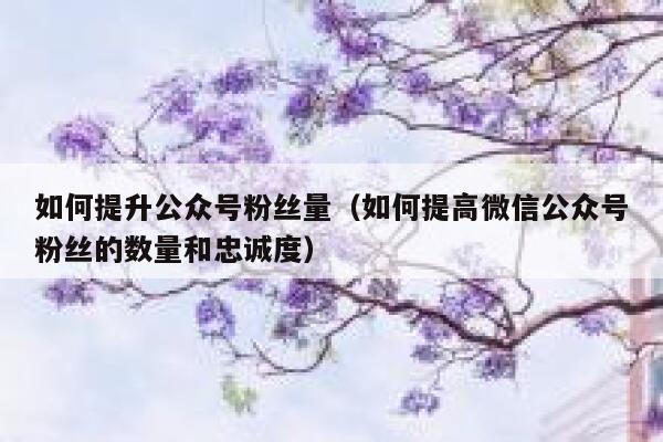 如何提升公众号粉丝量(如何提高微信公众号粉丝的数量和忠诚度) 第1张 如何提升公众号粉丝量(如何提高微信公众号粉丝的数量和忠诚度) 第1张