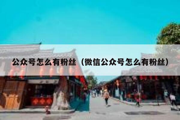 公众号怎么有粉丝（微信公众号怎么有粉丝） 第1张