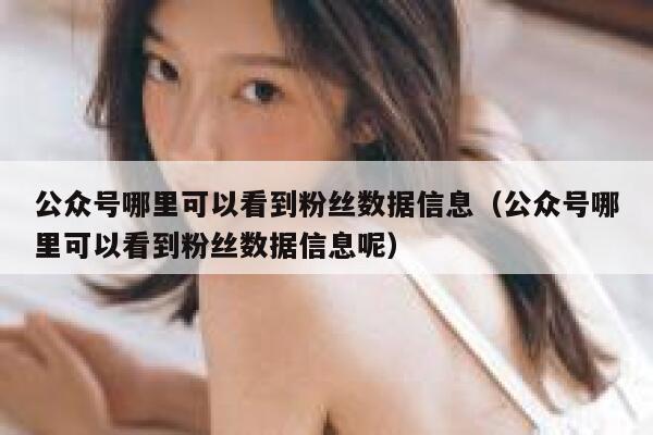 公众号哪里可以看到粉丝数据信息（公众号哪里可以看到粉丝数据信息呢） 第1张