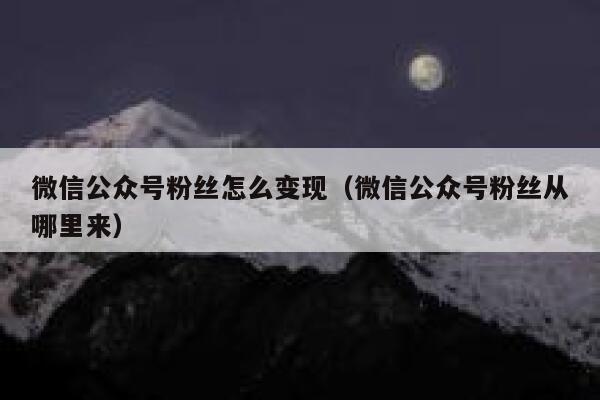 微信公众号粉丝怎么变现（微信公众号粉丝从哪里来） 第1张