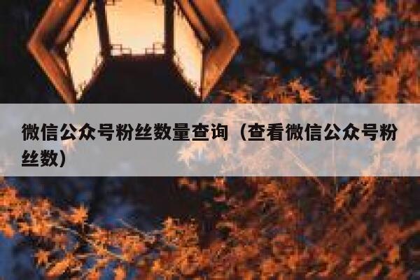 微信公众号粉丝数量查询（查看微信公众号粉丝数） 第1张