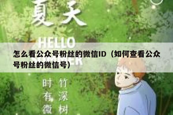 怎么看公众号粉丝的微信ID（如何查看公众号粉丝的微信号） 第1张