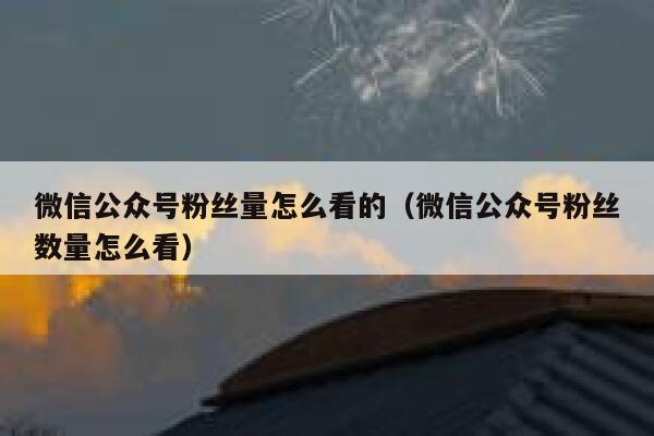 微信公众号粉丝量怎么看的（微信公众号粉丝数量怎么看） 第1张