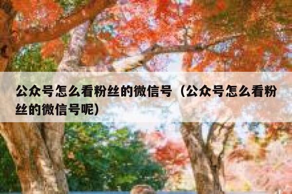 公众号怎么看粉丝的微信号（公众号怎么看粉丝的微信号呢） 第1张