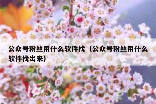 公众号粉丝用什么软件找（公众号粉丝用什么软件找出来） 第1张