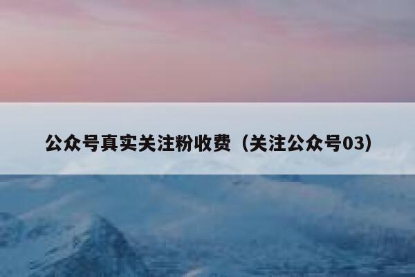 公众号真实关注粉收费（关注公众号03） 第1张