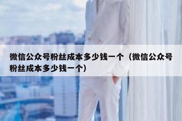 微信公众号粉丝成本多少钱一个（微信公众号粉丝成本多少钱一个） 第1张