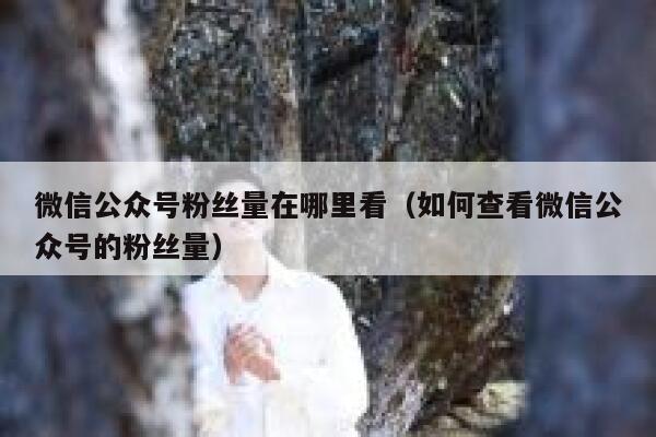 微信公众号粉丝量在哪里看（如何查看微信公众号的粉丝量） 第1张