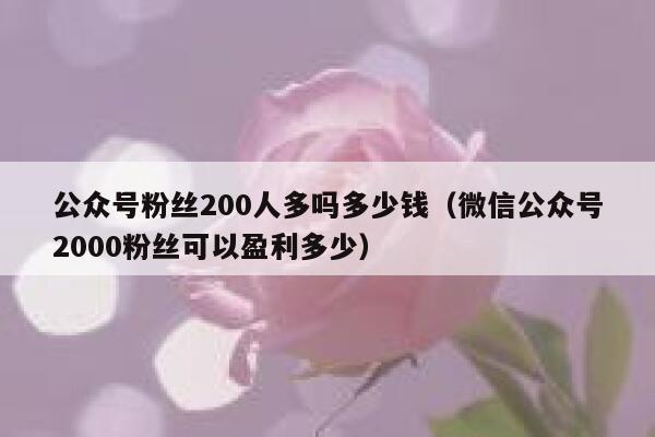 公众号粉丝200人多吗多少钱（微信公众号2000粉丝可以盈利多少） 第1张