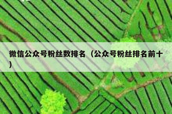 微信公众号粉丝数排名（公众号粉丝排名前十） 第1张