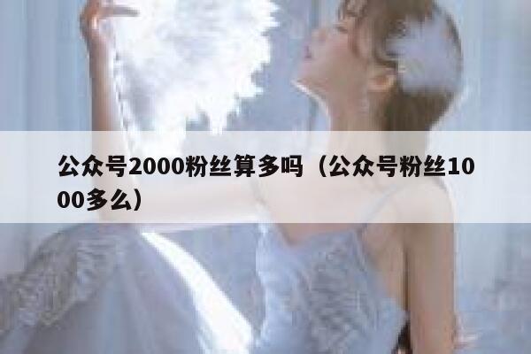 公众号2000粉丝算多吗（公众号粉丝1000多么） 第1张