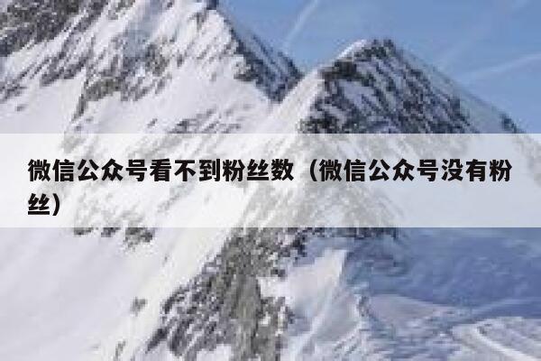 微信公众号看不到粉丝数（微信公众号没有粉丝） 第1张