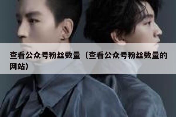 查看公众号粉丝数量（查看公众号粉丝数量的网站） 第1张