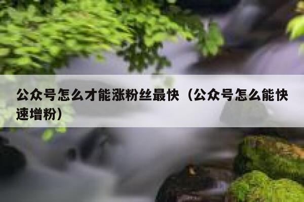 公众号怎么才能涨粉丝最快（公众号怎么能快速增粉） 第1张