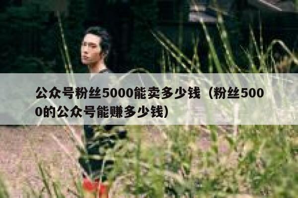 公众号粉丝5000能卖多少钱（粉丝5000的公众号能赚多少钱） 第1张