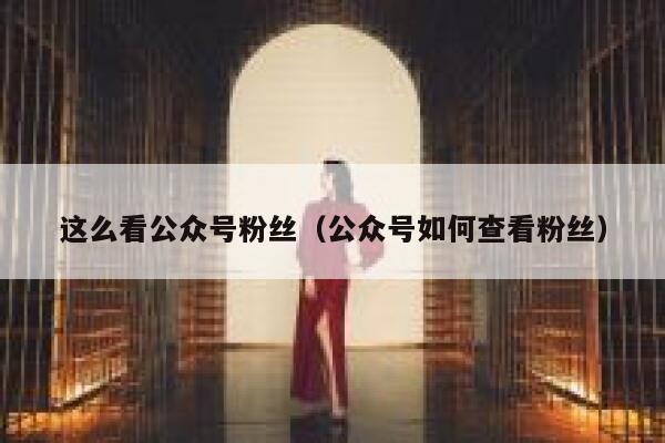 这么看公众号粉丝（公众号如何查看粉丝） 第1张