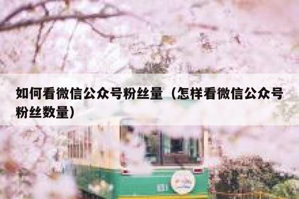 如何看微信公众号粉丝量（怎样看微信公众号粉丝数量） 第1张