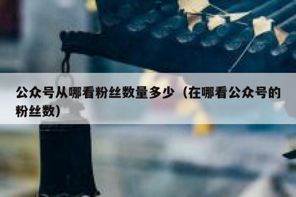 公众号从哪看粉丝数量多少（在哪看公众号的粉丝数） 第1张