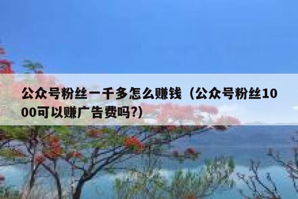 公众号粉丝一千多怎么赚钱（公众号粉丝1000可以赚广告费吗?） 第1张