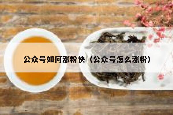 公众号如何涨粉快（公众号怎么涨粉） 第1张