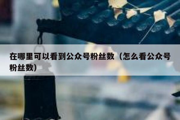 在哪里可以看到公众号粉丝数（怎么看公众号粉丝数） 第1张