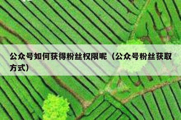 公众号如何获得粉丝权限呢（公众号粉丝获取方式） 第1张