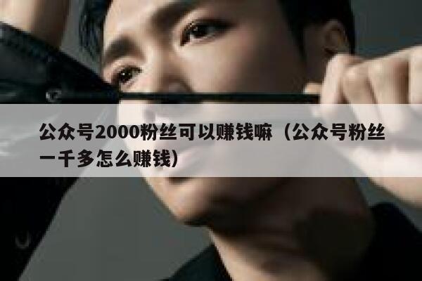 公众号2000粉丝可以赚钱嘛（公众号粉丝一千多怎么赚钱） 第1张