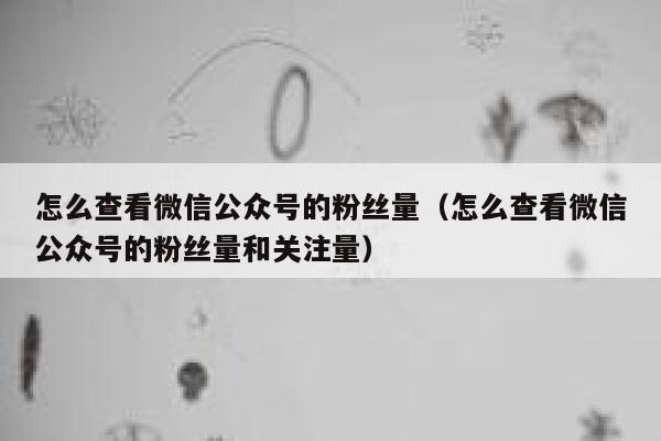 怎么查看微信公众号的粉丝量（怎么查看微信公众号的粉丝量和关注量） 第1张