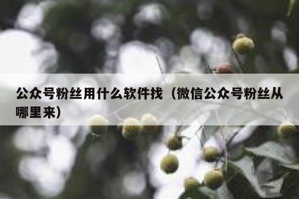 公众号粉丝用什么软件找（微信公众号粉丝从哪里来） 第1张