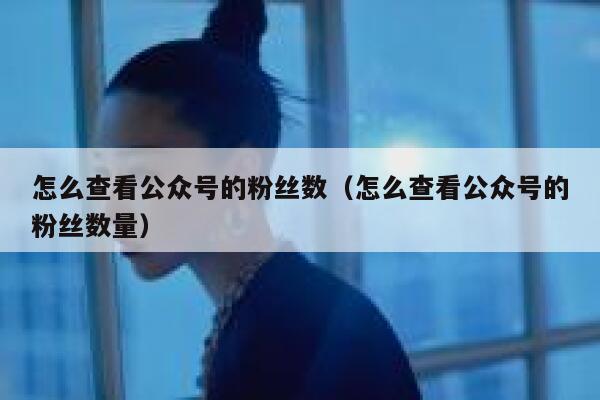 怎么查看公众号的粉丝数（怎么查看公众号的粉丝数量） 第1张