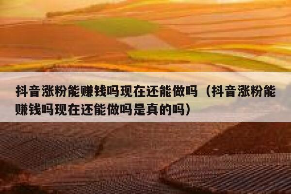 抖音涨粉能赚钱吗现在还能做吗(抖音涨粉能赚钱吗现在还能做吗是真的吗) 第1张 抖音涨粉能赚钱吗现在还能做吗(抖音涨粉能赚钱吗现在还能做吗是真的吗) 第1张