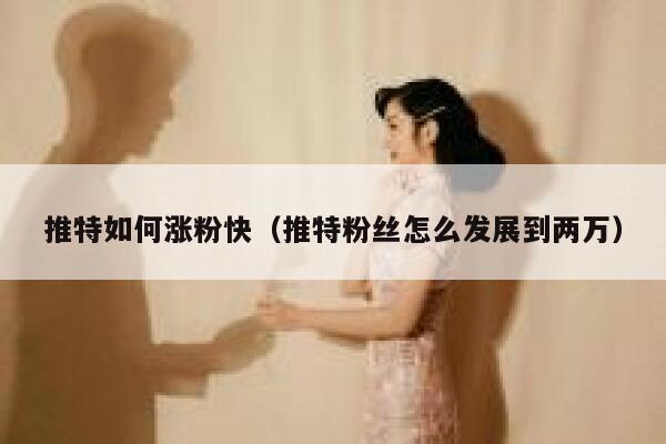 推特如何涨粉快（推特粉丝怎么发展到两万） 第1张