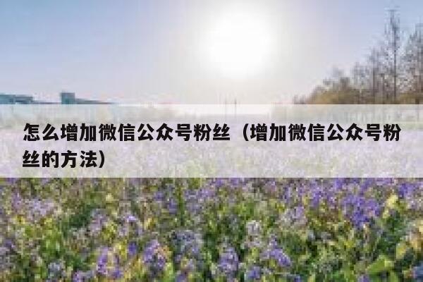 怎么增加微信公众号粉丝（增加微信公众号粉丝的方法） 第1张