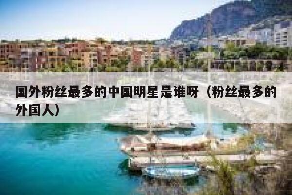 国外粉丝最多的中国明星是谁呀（粉丝最多的外国人） 第1张