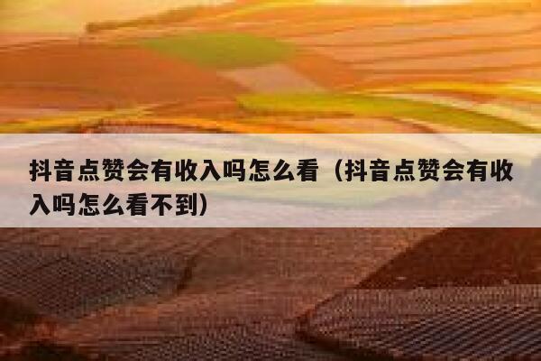 抖音点赞会有收入吗怎么看(抖音点赞会有收入吗怎么看不到) 第1张 抖音点赞会有收入吗怎么看(抖音点赞会有收入吗怎么看不到) 第1张