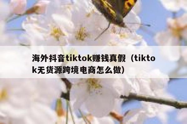 海外抖音tiktok赚钱真假（tiktok无货源跨境电商怎么做） 第1张