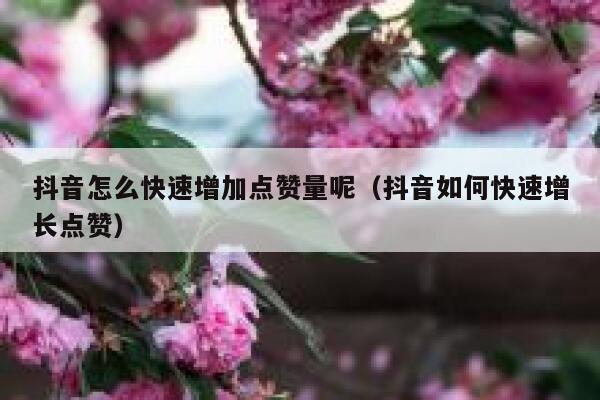 抖音怎么快速增加点赞量呢（抖音如何快速增长点赞） 第1张
