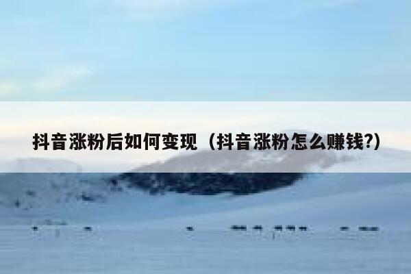 抖音涨粉后如何变现（抖音涨粉怎么赚钱?） 第1张