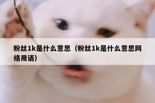 粉丝1k是什么意思（粉丝1k是什么意思网络用语） 第1张