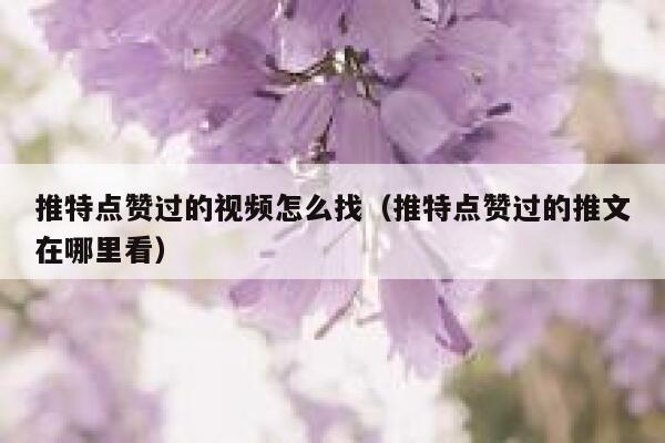 推特点赞过的视频怎么找（推特点赞过的推文在哪里看） 第1张