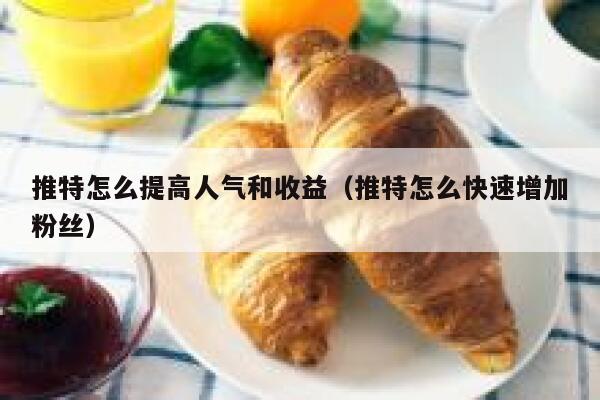 推特怎么提高人气和收益（推特怎么快速增加粉丝） 第1张